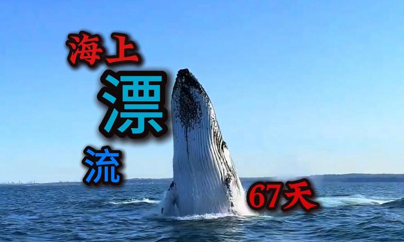 2025新澳门历史开奖查询和男子海上漂流7小时与男子海上漂流7小时视频